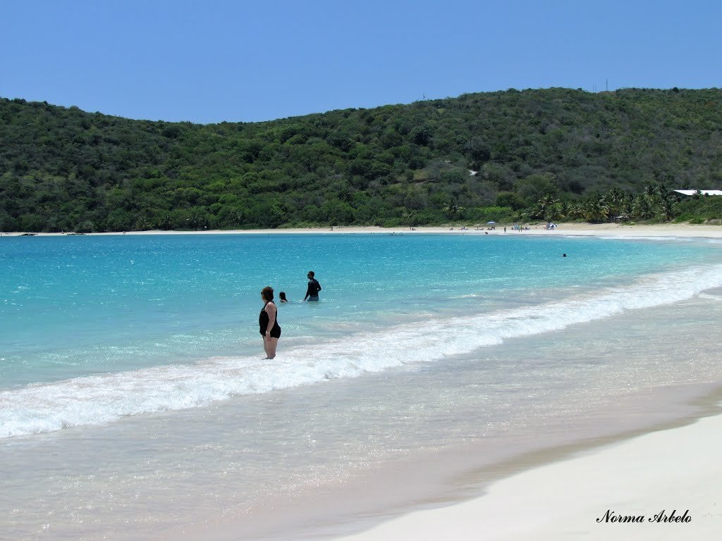 Pessoas em pé na água rasa na Praia Flamenco com mar azul claro e colinas verdes ao fundo. Imagem para ilustrar post sobre eSIM Porto Rico.